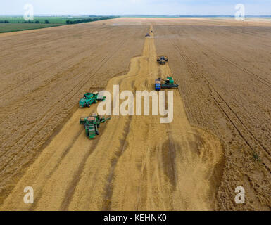 Krasnodar, Russland - 22 Juli 2017: Ernte von Weizen Harvester. landwirtschaftliche Maschinen, die Ernte auf dem Feld. Landwirtschaftliche Maschinen in Betrieb. Stockfoto