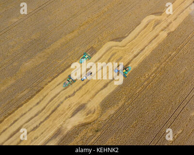 Krasnodar, Russland - 22 Juli 2017: Ernte von Weizen Harvester. landwirtschaftliche Maschinen, die Ernte auf dem Feld. Landwirtschaftliche Maschinen in Betrieb. Stockfoto