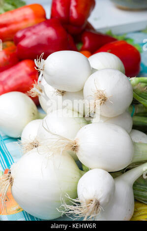 Salat Zwiebeln auf Verkauf in Lebensmittelmarkt in Santander, Kantabrien, Nordspanien Stockfoto