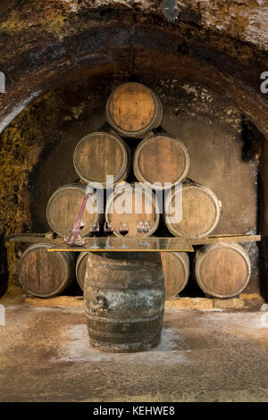 Eichenfässer des Rioja Weins, die in der Kellerei Carlos San Pedro Bodega in einem unterirdischen Keller von LaGuardia, Baskenland, Spanien, reifen Stockfoto
