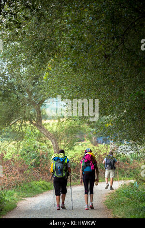 Pilger auf dem Weg der Camino de Santiago Pilgerweg nach Santiago de Compostela in Galizien, Spanien Stockfoto