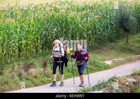 Pilger mit Rucksäcken auf dem Camino de Santiago Pilgrim's zu Fuß nach Santiago de Compostela in Galizien, Spanien Stockfoto