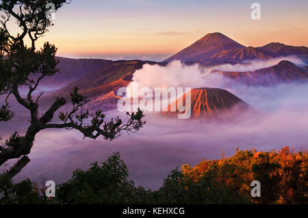 Mount Bromo Vulkane ergriffen Tengger Caldera, Ost-Java, Indonesien. Stockfoto