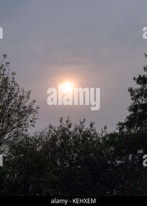 Seltsame Himmel Sonne hinter bewölkte Himmel Baum Skyline, Essex, England, Großbritannien Stockfoto