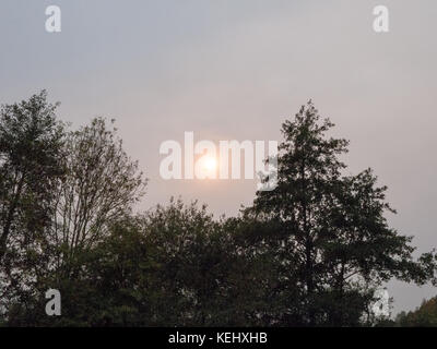 Seltsame Himmel Sonne hinter bewölkte Himmel Baum Skyline, Essex, England, Großbritannien Stockfoto