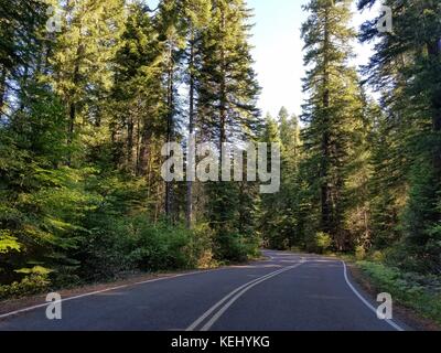 Scenic Byway durch Rogue River National Forest führt zum Crater Lake National Park Stockfoto