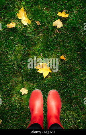 Hohe Betrachtungswinkel und einer Frau in der roten Gummistiefel am grünen Gras underneigh voller Blätter im Herbst suchen Stockfoto