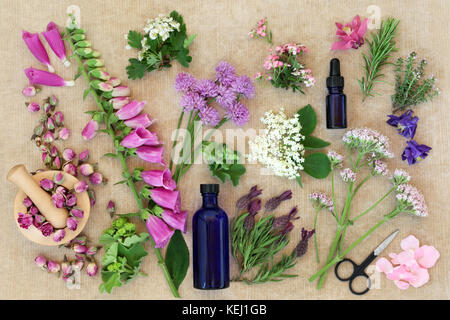 Heilkräuter und Blumen in der Kräuterheilkunde und Aromatherapie Rechtsmittel mit ätherischen Öl Flaschen und Mörser mit Pistill auf groben braunen Papier verwendet. Stockfoto