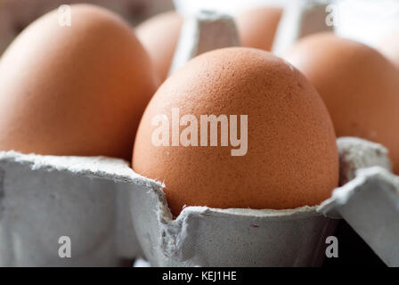 Karton Eier Stockfoto