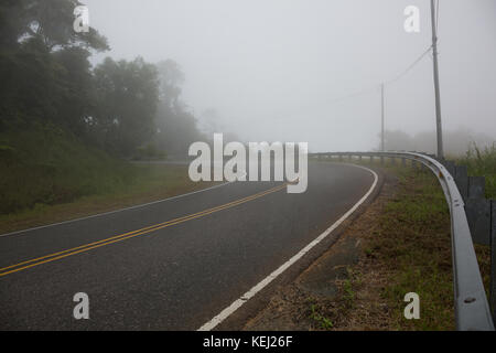 Dichter Nebel über geschwungene Straße macht Fahrbedingungen gefährlich. Stockfoto