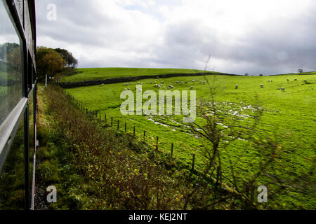 Stock Foto - South Tynedale Railway ist eine erhaltene, 610mm (2 ft) Schmalspurbahnen Museumsbahn im Norden von England und ist Englands höchste Schmalspurbahn. © hugh Peterswald/alamy Stockfoto