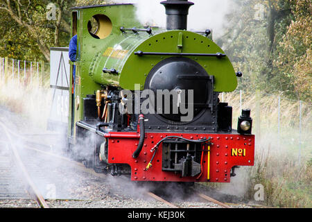 Stock Foto - South Tynedale Railway ist eine erhaltene, 610mm (2 ft) Schmalspurbahnen Museumsbahn im Norden von England und ist Englands höchste Schmalspurbahn. © hugh Peterswald/alamy Stockfoto