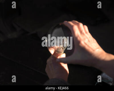 Weibliche Hände mit Lupe und elektrische Lampe, insbesondere closeup Stockfoto