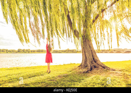 Frau mit langen Lockigen brünette Haar im roten Kleid, Baum und Wind von Potomac River und Arlington Memorial Bridge in Washington DC Duri zu Willow Stockfoto