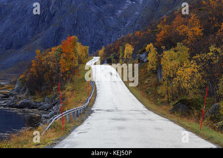 Coastal Road, Herbst auf Kvaloya, Whale Island, Troms, Norwegen im Norden, Europa Stockfoto