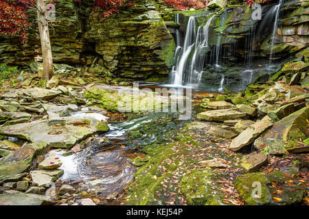 Elakala Wasserfall im Blackwater Falls State Park in West Virginia im Herbst mit rote Blätter Laub Stockfoto