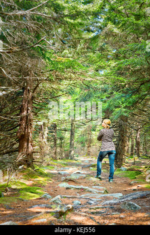 Märchen spruce Pine Tree Forest in West Virginia im Herbst mit einer jungen Frau, die an einem sonnigen Tag Stockfoto