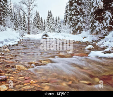 Winterschnee am lost Creek im Swan Valley in der Nähe von Schwanensee, montana Stockfoto