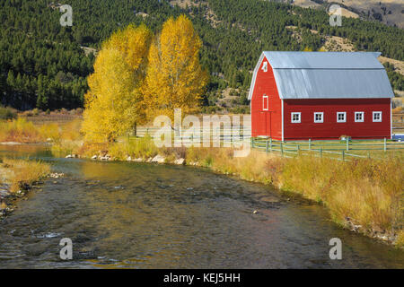 Rote Scheune und fallen Farben entlang der Ruby River in der Nähe von Erlen, Montana Stockfoto