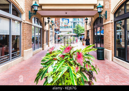 Silver Spring, USA - 16. September 2017: Innenstadt von Stadt in Maryland mit Shopping Mall brick Pathway und Menschen zu Fuß von Pflanzen Stockfoto