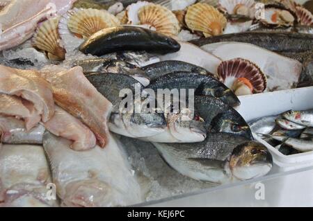 Produkte im Verkauf bei Riverside Fish, Littlehampton, Großbritannien Stockfoto