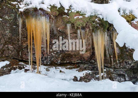 Braun gefärbte Eiszapfen hängen von einer Klippe mit Schnee im Vordergrund und Hintergrund Stockfoto