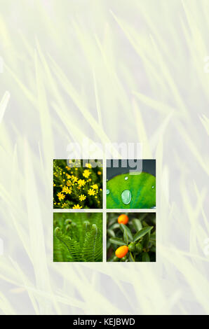 Blumen und Pflanzen wachsen auf einem Gras Hintergrund Stockfoto