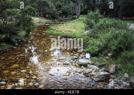 Ein Wanderweg am Jubiläum Creek, ein Picknick im Wald in der Nähe von Knysna Knysna, Südafrika Stockfoto