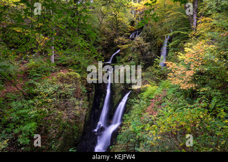 Lieferbar Ghyll Kraft Wasserfall im Herbst, in der Nähe von Ambleside, Lake District National Park, Cumbria, England, Großbritannien