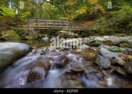 Lieferbar Ghyll Beck im Herbst, in der Nähe von Ambleside, Lake District, Cumbria, England, Großbritannien Stockfoto