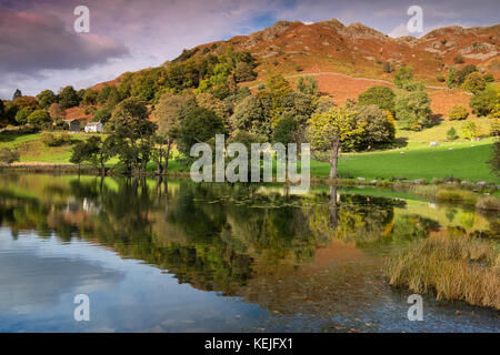 Loughrigg Tarn und Loughrigg fiel im Herbst, Nationalpark Lake District, Cumbria, England, Großbritannien Stockfoto