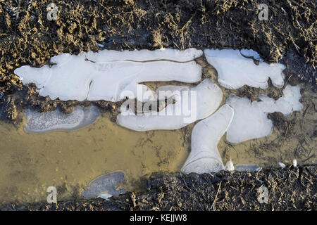 Eis auf einem schlammigen Pfütze auf einem Feldweg. Stockfoto