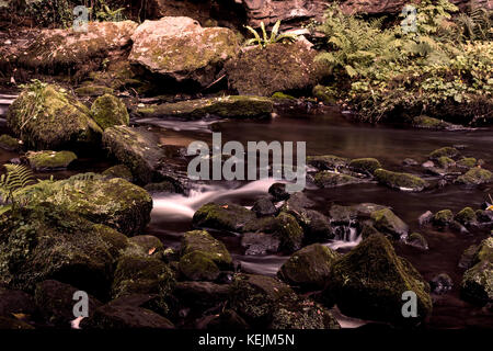 Slow Shutter der Fluss durch Rouken Glen Park, Glasgow, Schottland Stockfoto