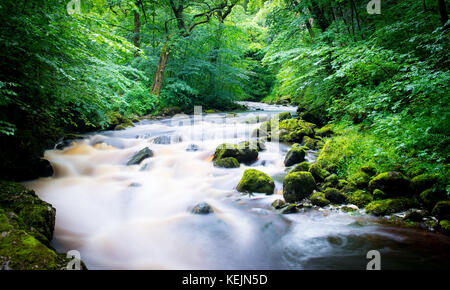 Lange Exposition von schnell fließenden Fluss Stockfoto