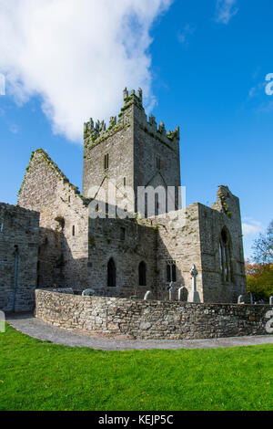 Die Ruinen der Jerpoint Abbey, Kilkenny, Irland, einem mittelalterlichen Zisterzienserabtei, zerstört bei der Auflösung der Klöster unter Henry die Acht Stockfoto