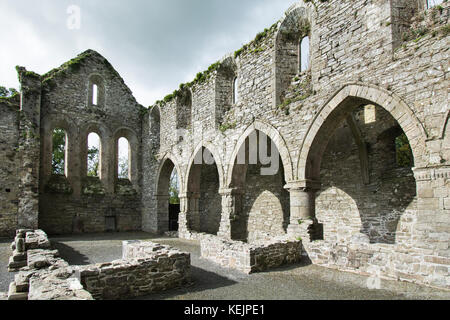 Die Ruinen der Jerpoint Abbey, Kilkenny, Irland, einem mittelalterlichen Zisterzienserabtei, zerstört bei der Auflösung der Klöster unter Henry die Acht Stockfoto