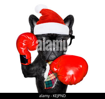 Französische Bulldogge boxing Hund mit großen roten Handschuhe Unternehmer, Manager oder Verwalter auf weißem Hintergrund, auf weihnachten urlaub Ferienhäuser mit sa Stockfoto