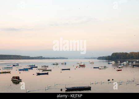 Zemun Quay (Zemunski Kej) in Belgrad, Serbien, an der Donau, im Herbst gesehen, bei Sonnenuntergang. Boote können vor gesehen werden, und Belgrad Zentrum in zurück Stockfoto