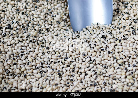 Trocken black-eyed peas an einem produzieren. Stockfoto