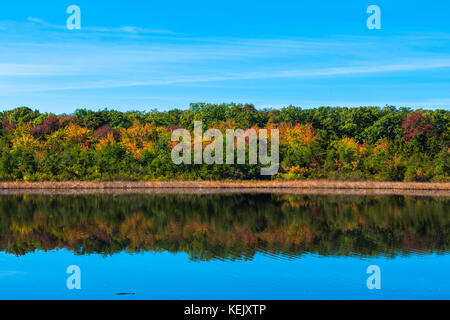 Atemberaubende Farben an der alten Mühle Teich in Spring Lake Heights, NJ, wie Sommer dreht sich bis in den Herbst. Stockfoto