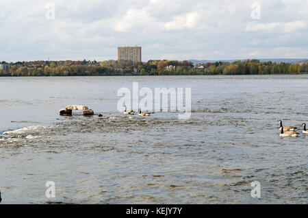 2017 inukshuks: Für mehr als 30 Jahre inukshuks, oder Balanced Rock Skulpturen, haben bei remics Stromschnellen auf dem Ottawa River, westlich von Downtown ot Stockfoto