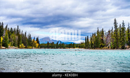 Die Sitzung der Athabasca River und der Whirlpool Fluss im Jasper Nationalpark in den Kanadischen Rocky Mountains in der Provinz Alberta Stockfoto