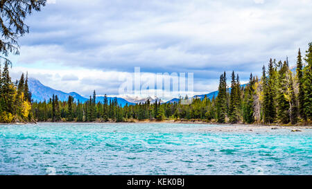 Die Sitzung der Athabasca River und der Whirlpool Fluss im Jasper Nationalpark in den Kanadischen Rocky Mountains in der Provinz Alberta Stockfoto