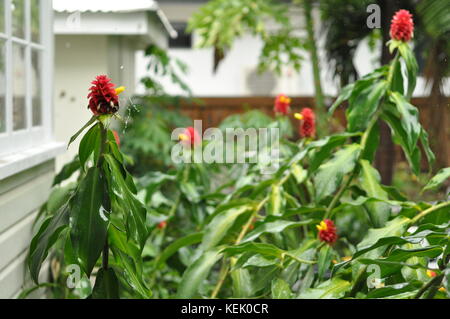 Townsville, Queensland, Australien Stockfoto