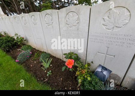 Sergeant Vogel Foto. Große Krieg Schlacht bei Vimy Ridge, Frankreich. Commonwealth Gräber, historische Überreste, Gedächtnis und Interpretation Centre. Stockfoto