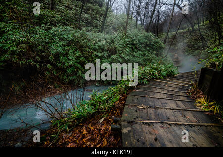 Ein Muss - natürliche Fußbad am Fluss Oyunuma, einem hot spring River fließt vom See oyunuma, in der Nähe der jigokudani Hölle Valley zu besuchen, Japan. Stockfoto