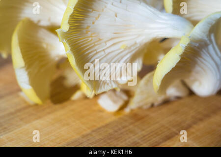Frische gelb Austernpilze auf einem Bambus Schneidebrett, close-up Stockfoto