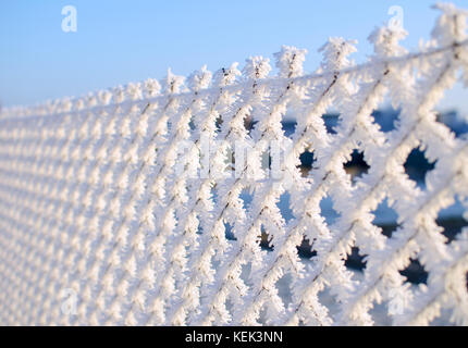 Nahaufnahme von einem Zaun mit Frost Eiskristalle unter einem blauen Himmel mit einem unscharfen Hintergrund an einem sonnigen Wintertag Stockfoto