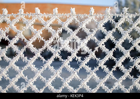 Nahaufnahme von einem Zaun mit Frost Eiskristalle unter einem blauen Himmel mit einem unscharfen Hintergrund an einem sonnigen Wintertag Stockfoto
