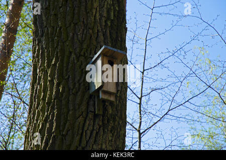 Blick auf ein Vogelhaus aus Holz, das auf einem Baumstamm montiert ist Im Frühling und Sommer im Wald unter einem Blauer Himmel an einem sonnigen Tag Stockfoto